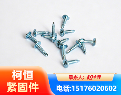 沧州华司钻尾丝