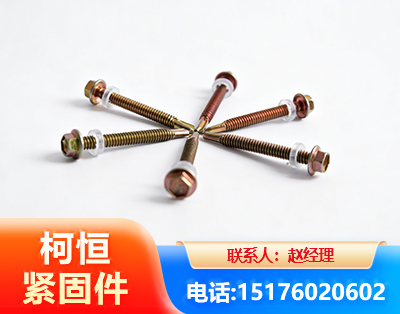 沧州六角钻尾丝